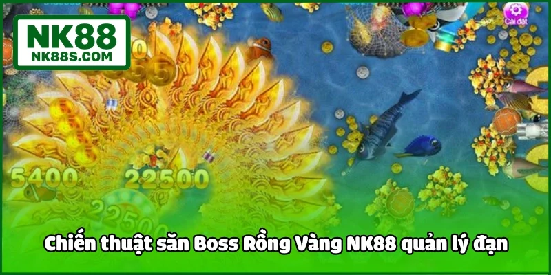 Chiến thuật săn Boss Rồng Vàng NK88 quản lý đạn