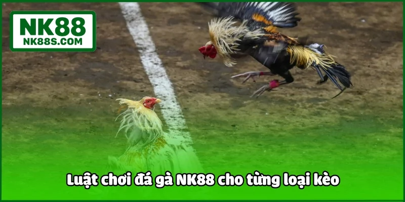 Luật chơi đá gà NK88 cho từng loại kèo