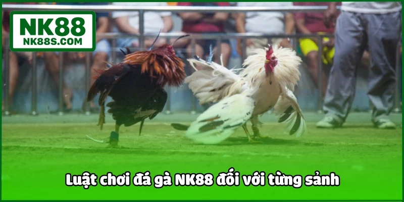 Luật chơi đá gà NK88 đối với từng sảnh