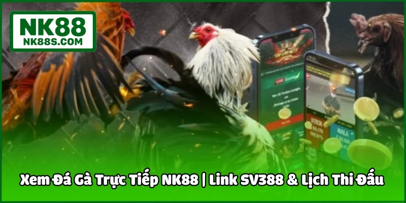 Xem Đá Gà Trực Tiếp NK88 | Link SV388 & Lịch Thi Đấu